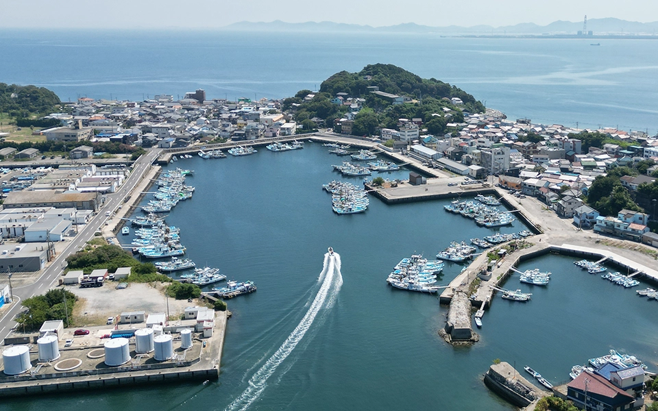 篠島の港へ船が戻ってくる様子
