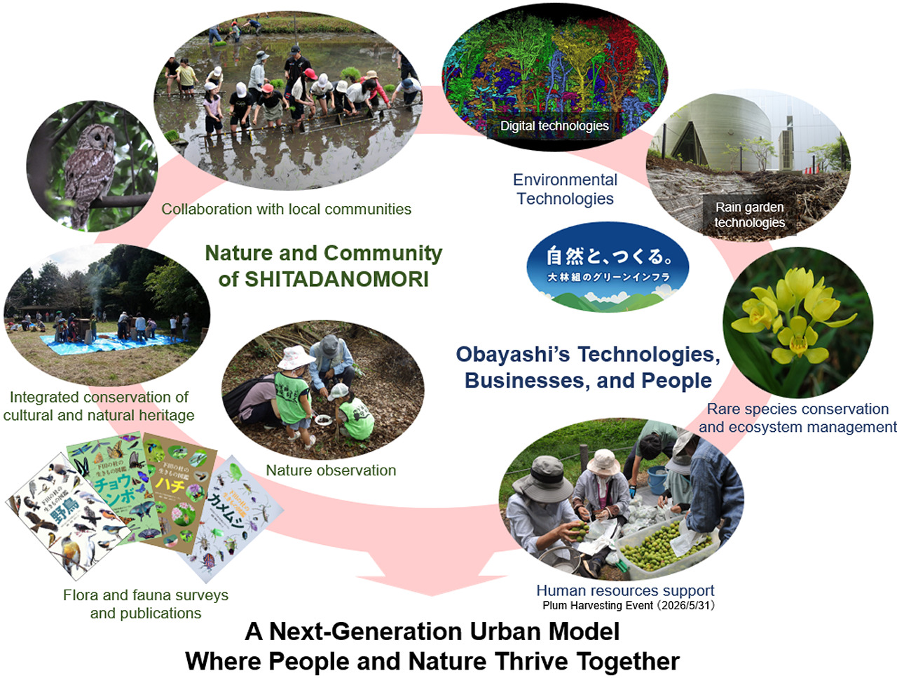 Conceptual diagram illustrating a next-generation urban model where people and nature thrive together. The framework integrates nature conservation, community engagement, environmental technologies, biodiversity monitoring, ecosystem management, and human resource development through the SHITADANOMORI initiative and Obayashi's technologies, businesses, and people.