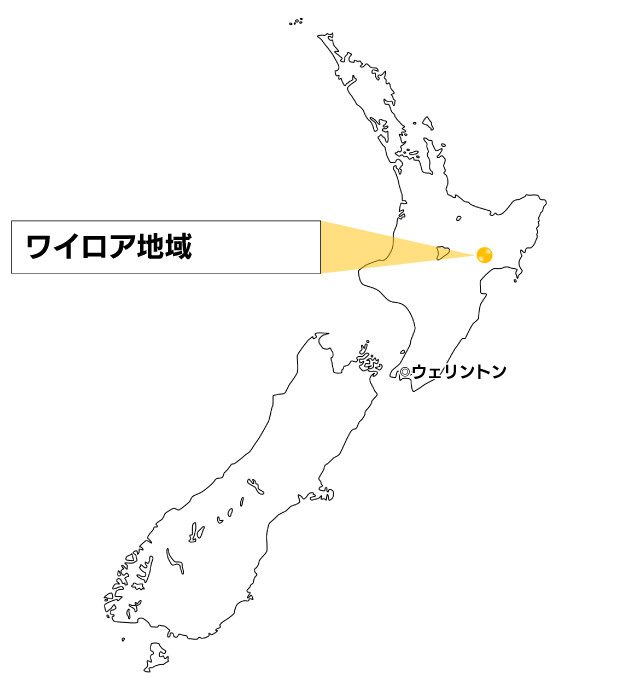 ニュージーランド・ワイロア地域地図