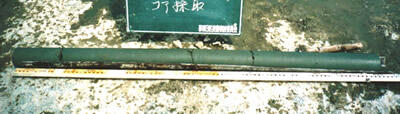 採取した改良体のコア（深度方向に均質な改良体コアを採取）