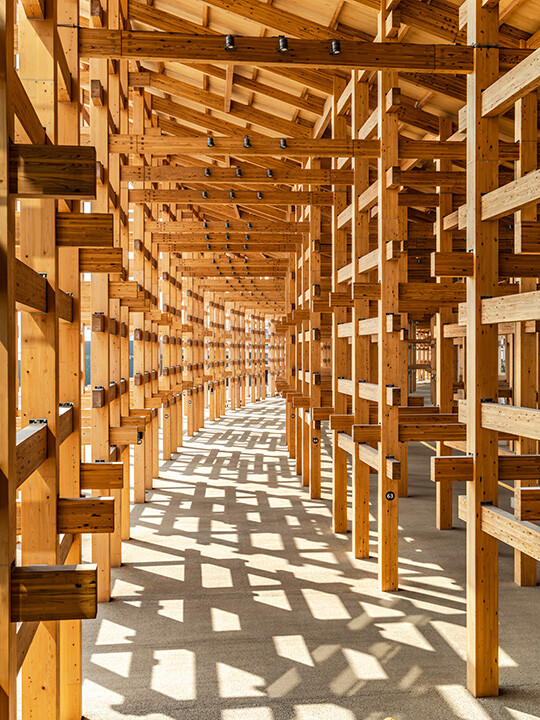 提供:2025年日本国際博覧会協会 撮影:株式会社伸和